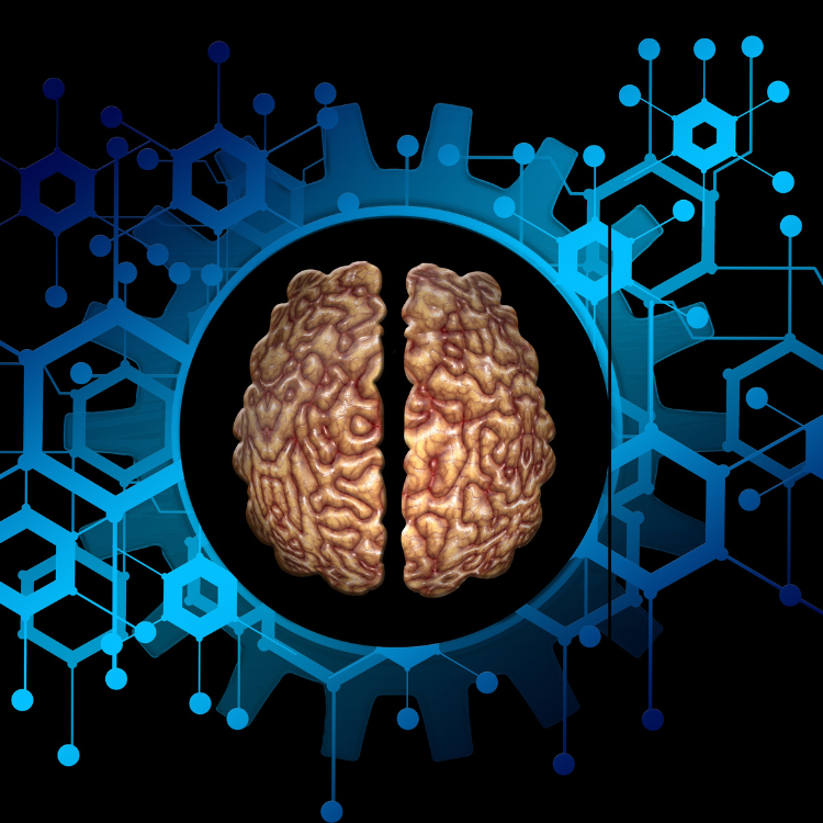 Brain Tumor Surgery & Craniotomy