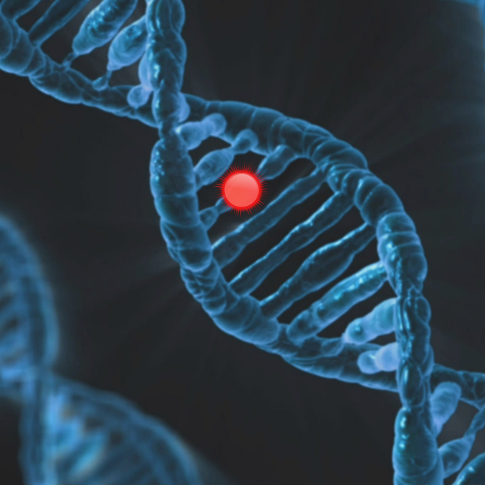 Preimplantation Genetic Diagnosis (PGD)