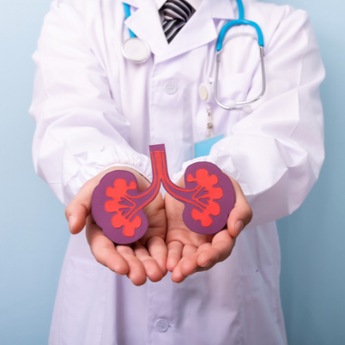 Kidney Transplant 