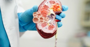 Kidney-Transplant1111