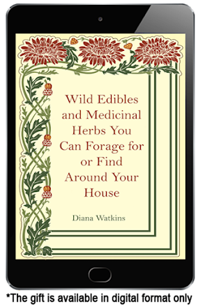 Medicinal Garden Kit - Bonus 2 Wild Edible and Medicinal Herbs You Can Forage or Find Around the House