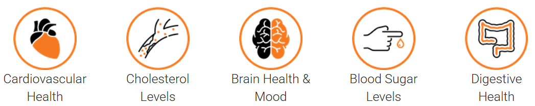 Golden Revive Plus Uses